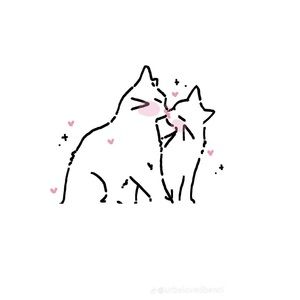 Meet your Posher, Shocelyn